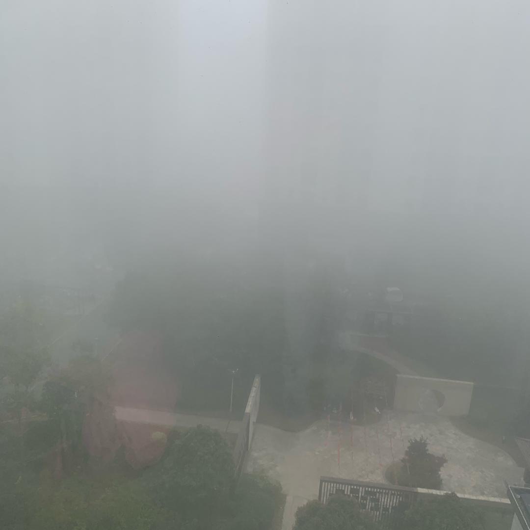 陈真按的李小龙