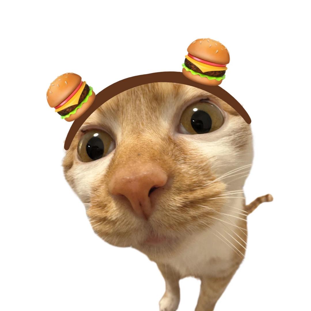 小薯条🍟