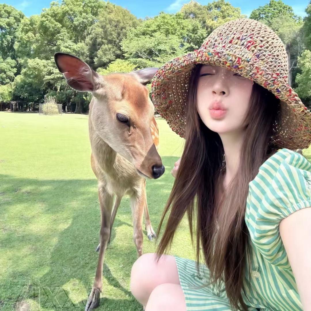 吉吉毛毛😽