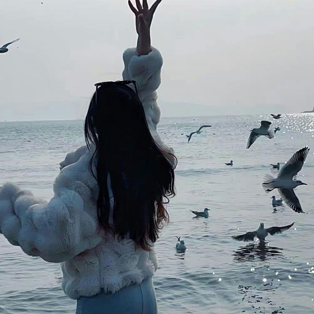 鑫°