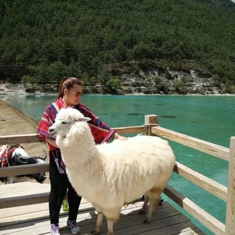 没有昵称•