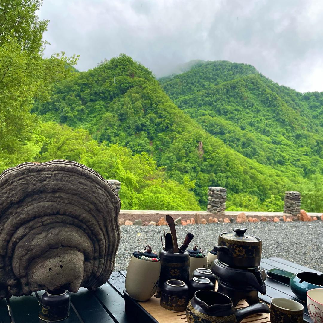 山野
