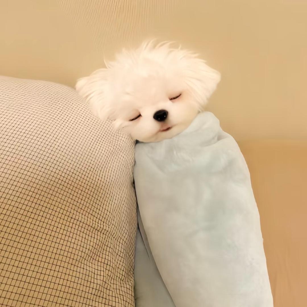 你别说了我不想听