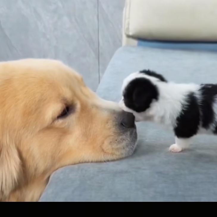 ℳ̶̶♡̶҉格局᭄ℳ