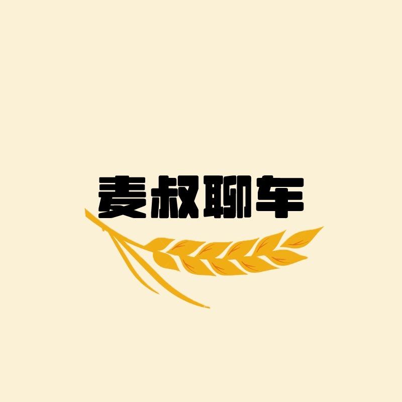 麦叔聊车