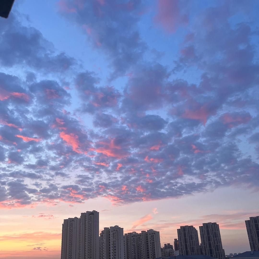 唯有自渡～