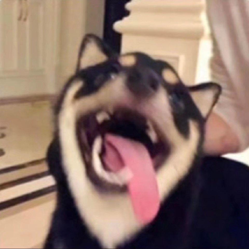哀家头发呢