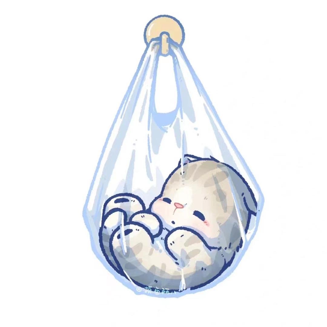 胖头小小鱼🐟
