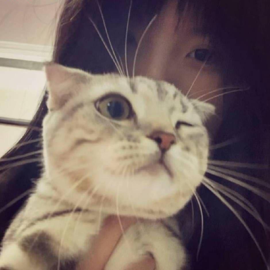 散尽.