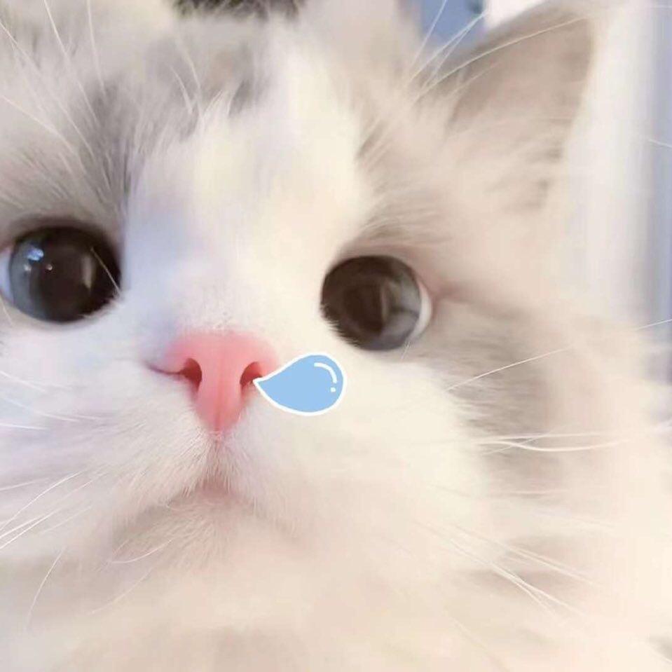 没素质