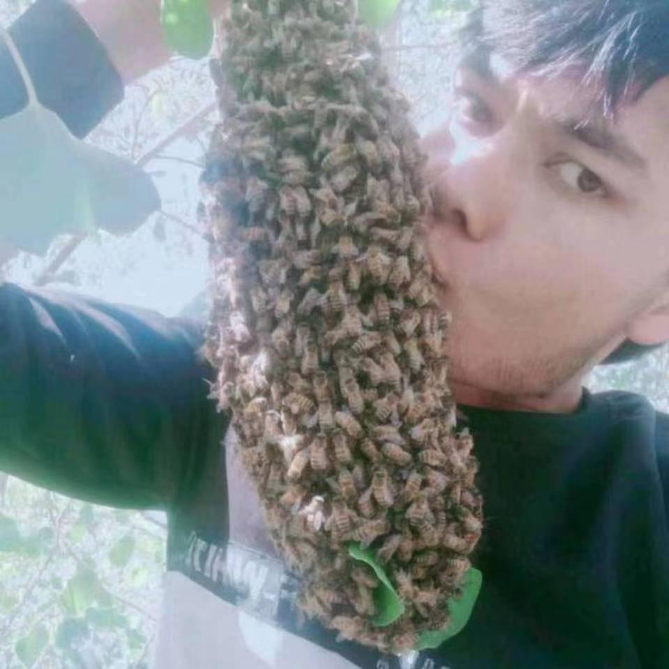 巴楚爱蜂人蜂蜜店