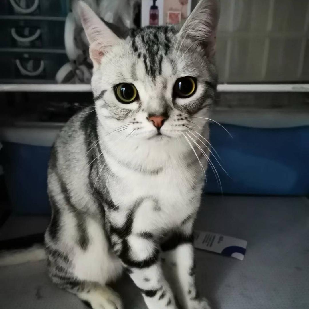 睿禾☀️ ¹²²⁶