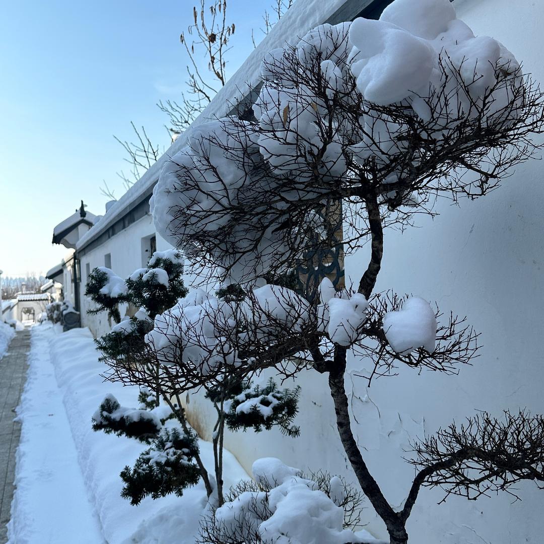 雪绵豆沙