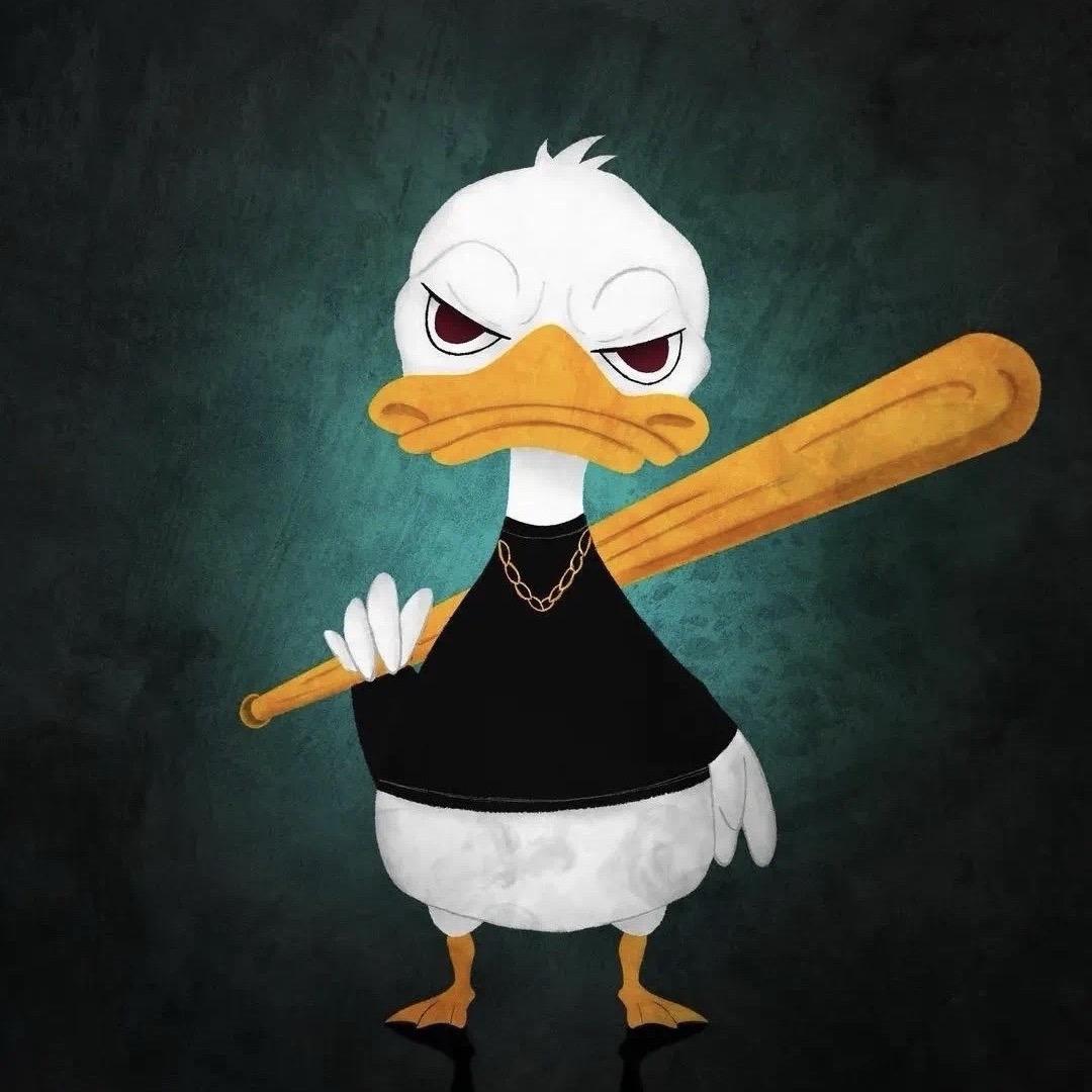 🌈肥聪无敌🌈