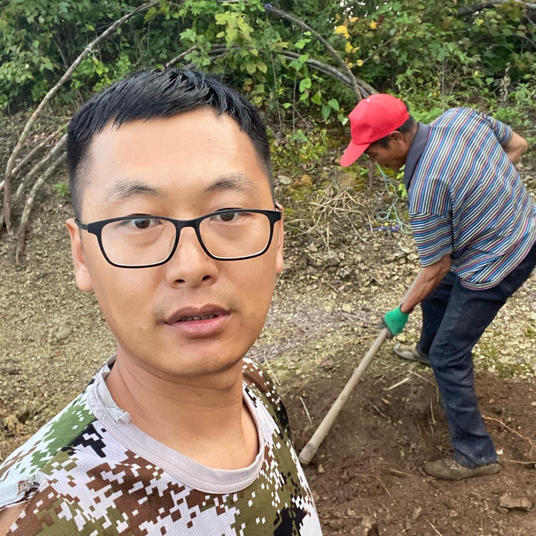 晟旭参业长白山特产