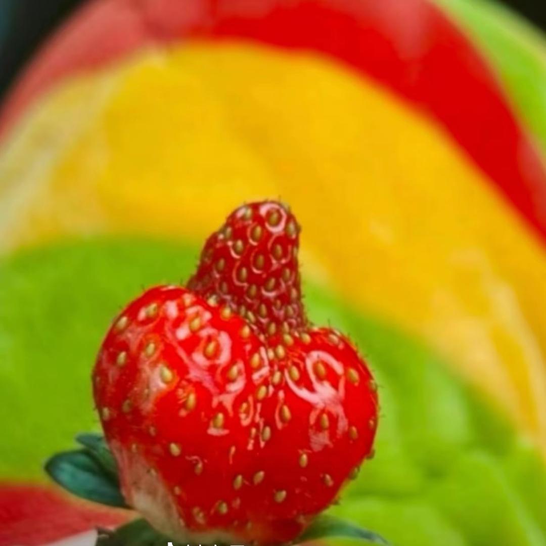 🍄‍🟫🍄‍🟫蘑菇蘑菇快长大