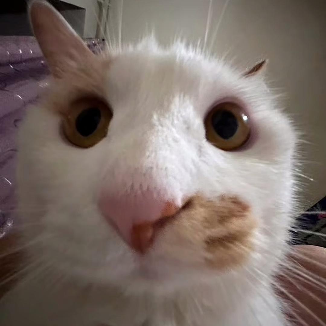 思