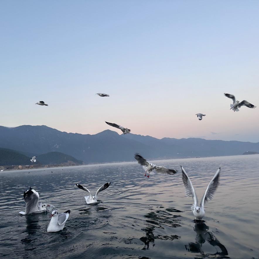 明天你好