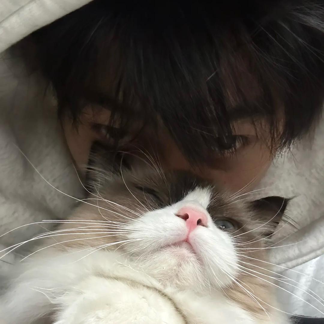 凌兰