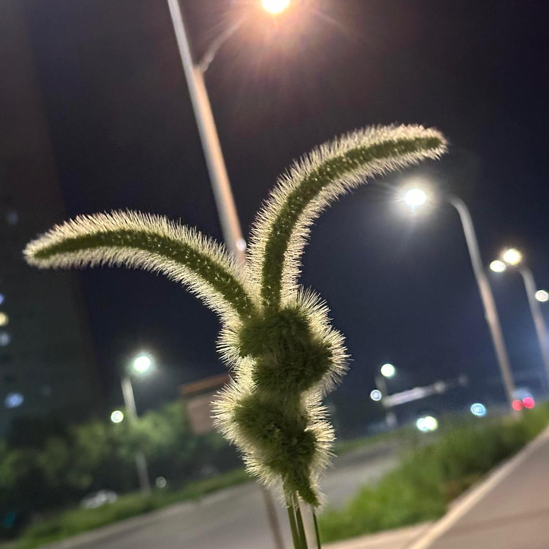 倾听者(随你骂）