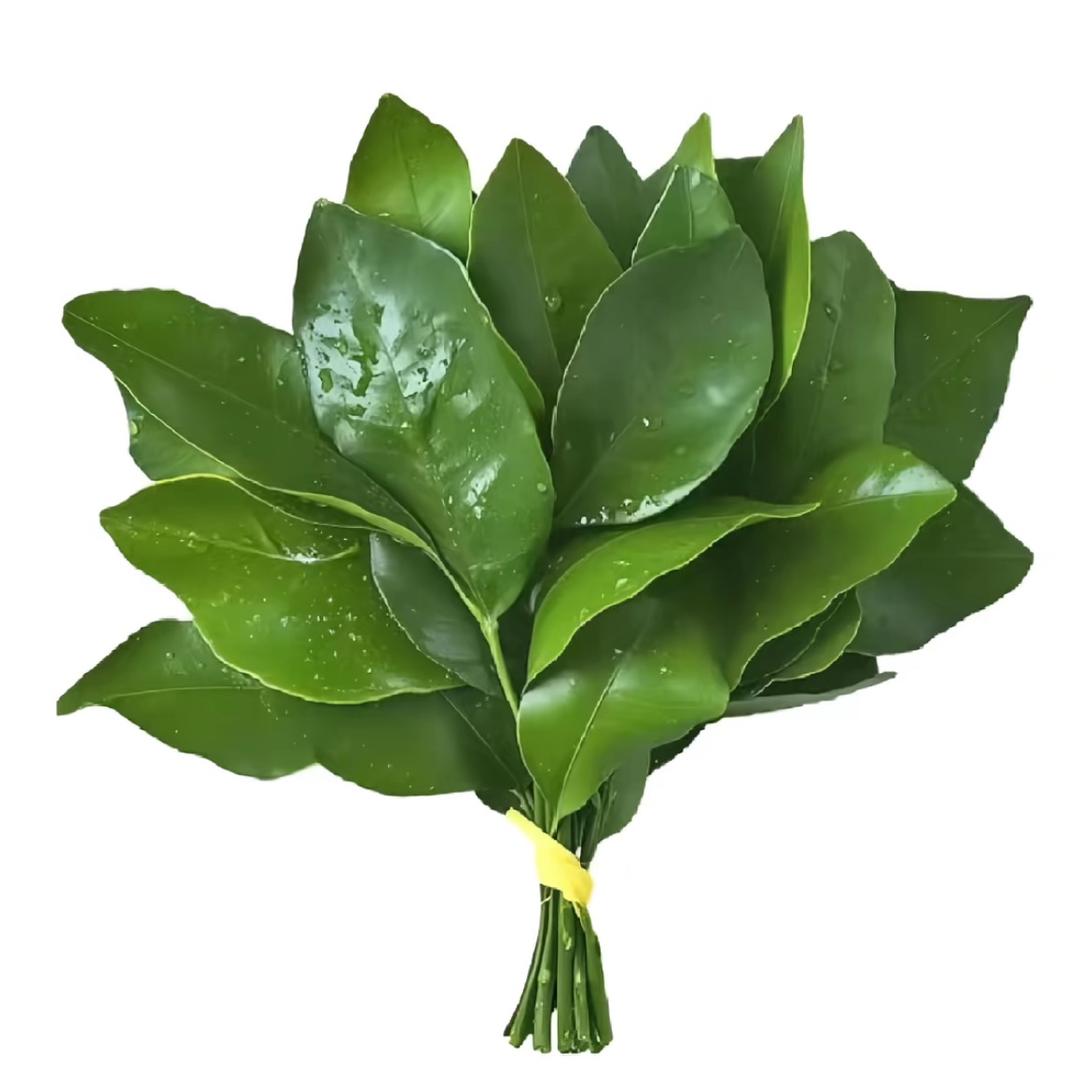 -小小摆烂家°