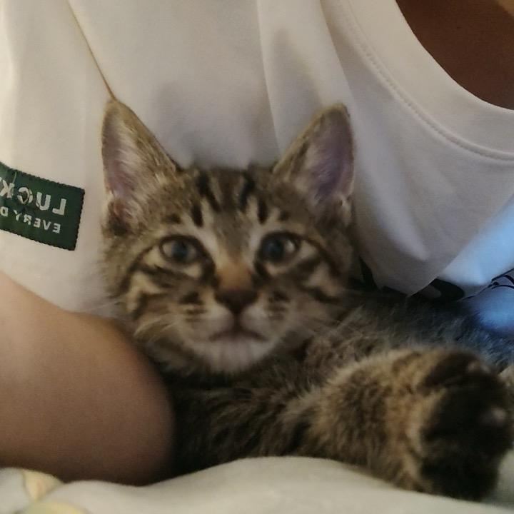 小祈