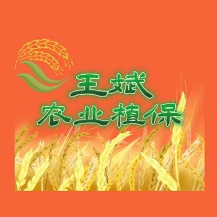 王斌植保（绿叶新地～桂林店）