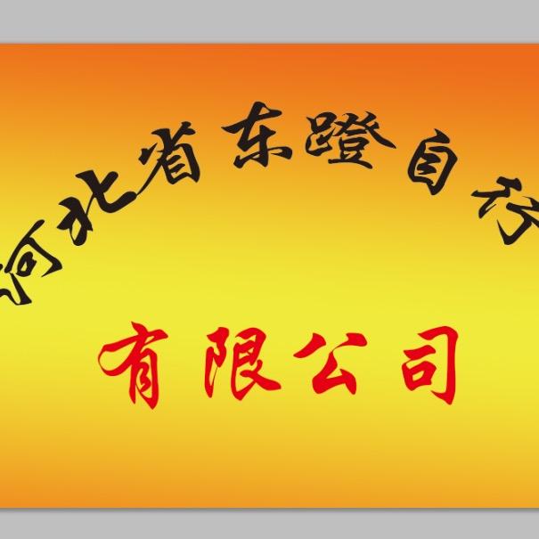 A河北东蹬自行车山地车