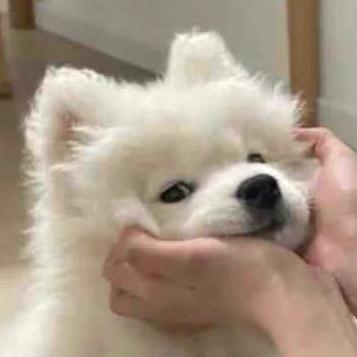 饭桶