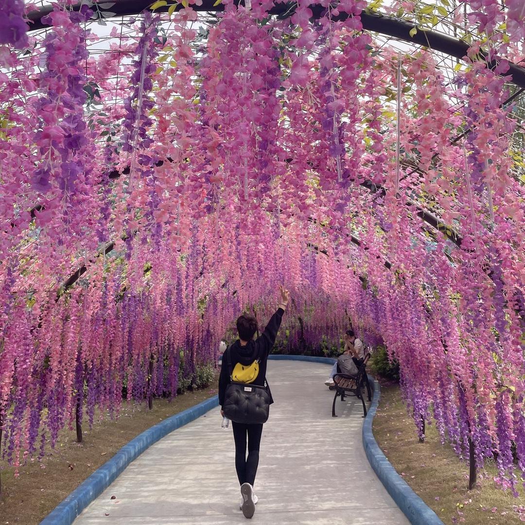 姸儿不咸