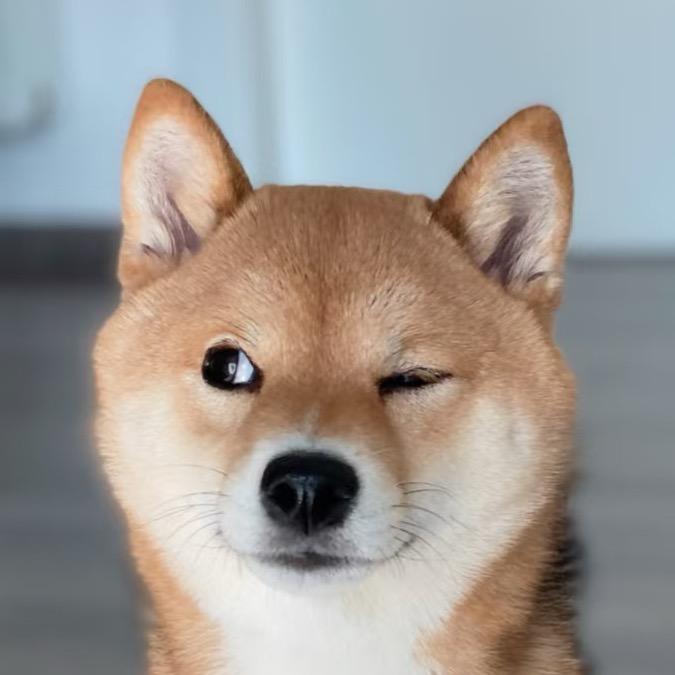 小李要奋斗