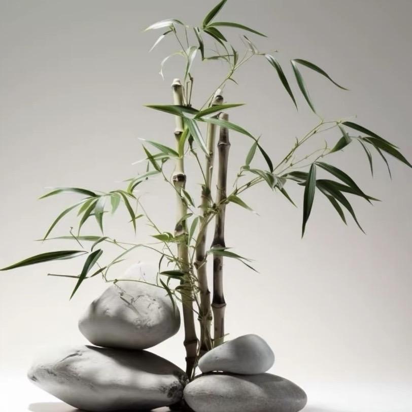 睿知文化
