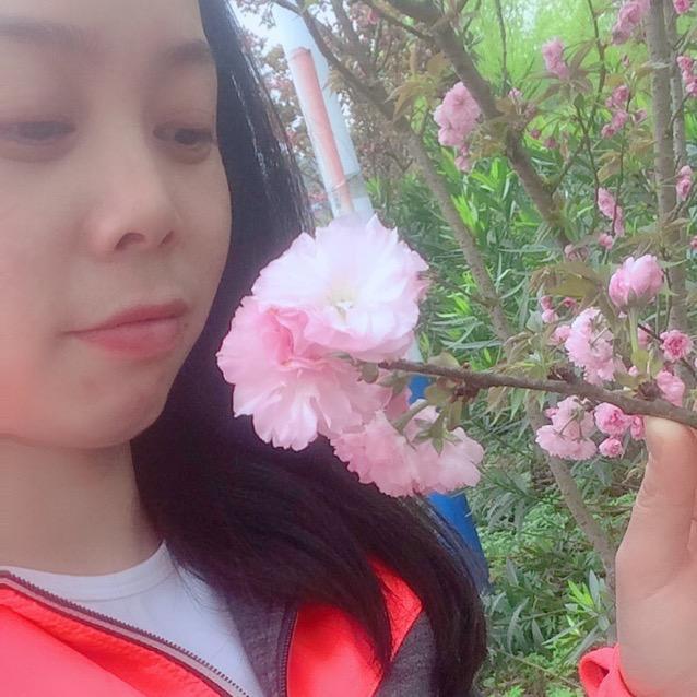 燕子