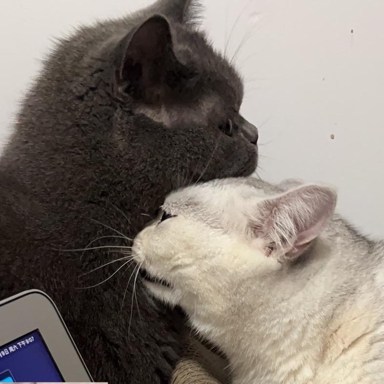 ❤️腻腻和伊贝