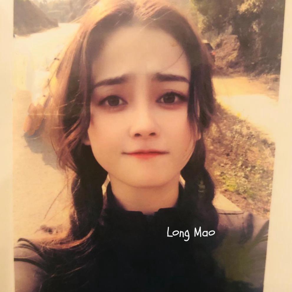 龙猫🐼