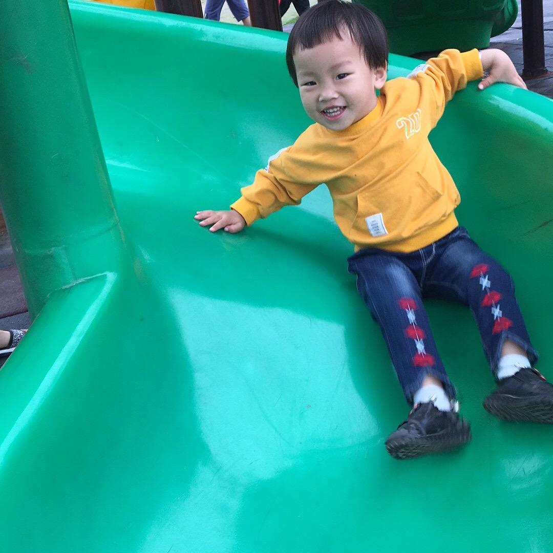 楊杨