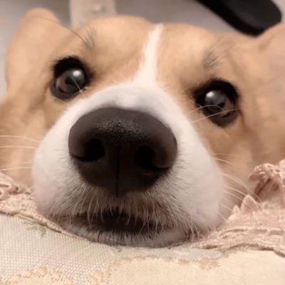 胡辣汤和油馍很配