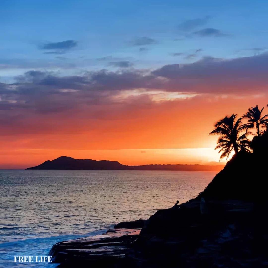 大华（三角洲行动）