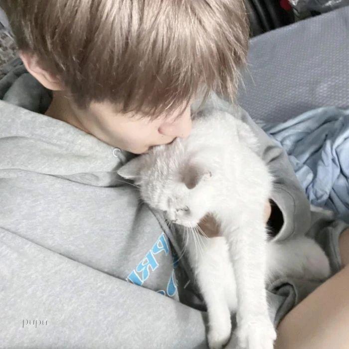 爱慕