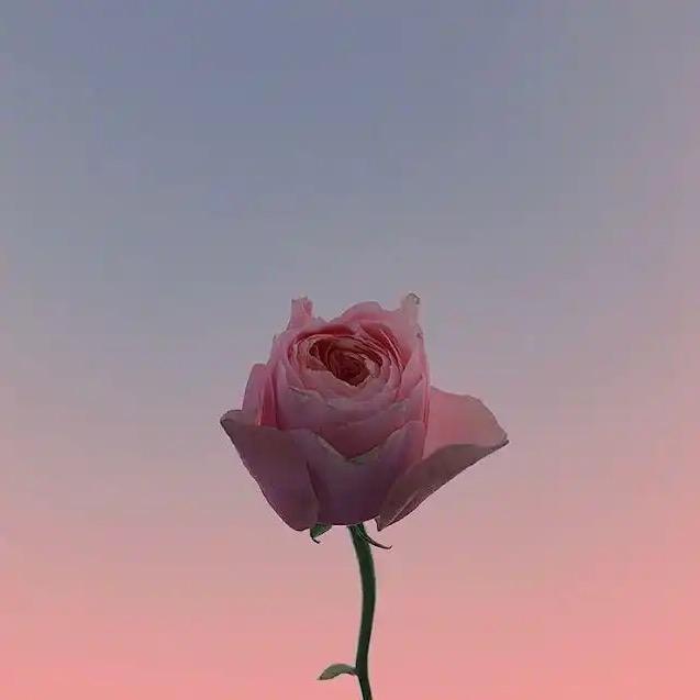 Ting～ 婷