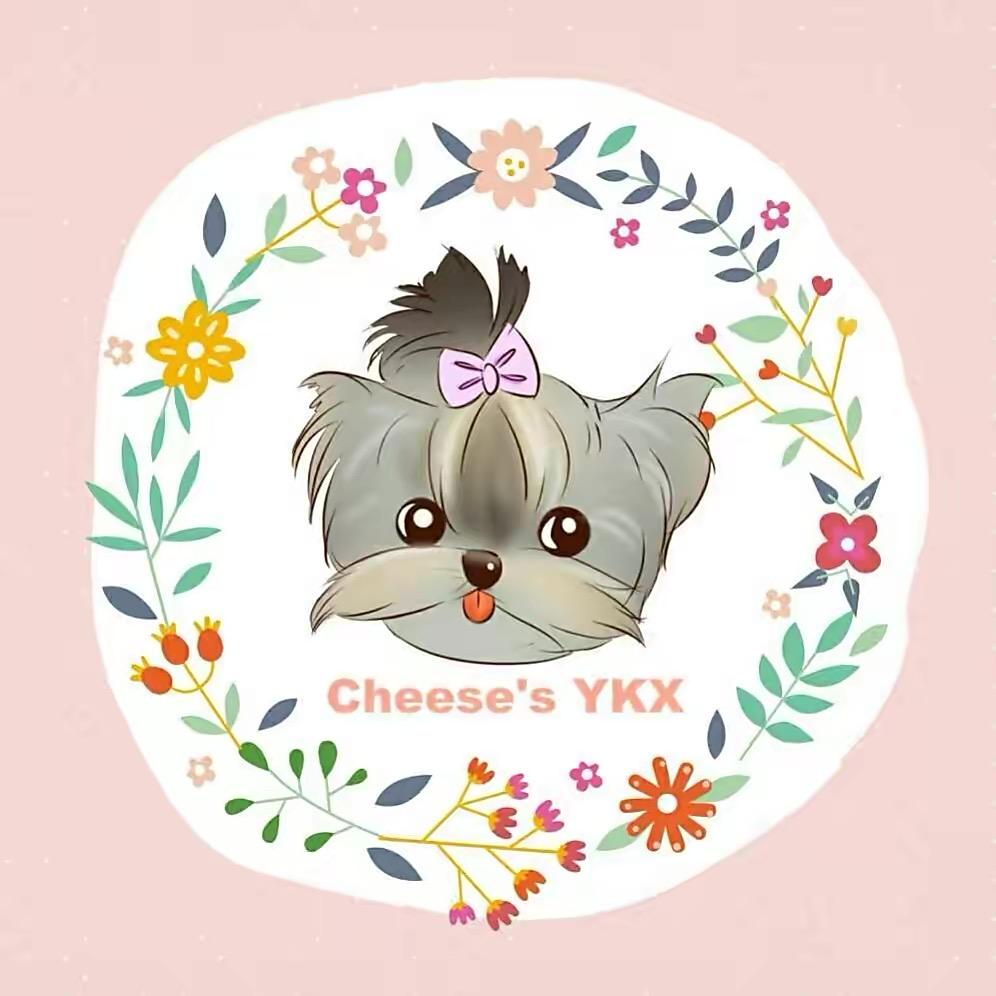 小约の小马繁育之家