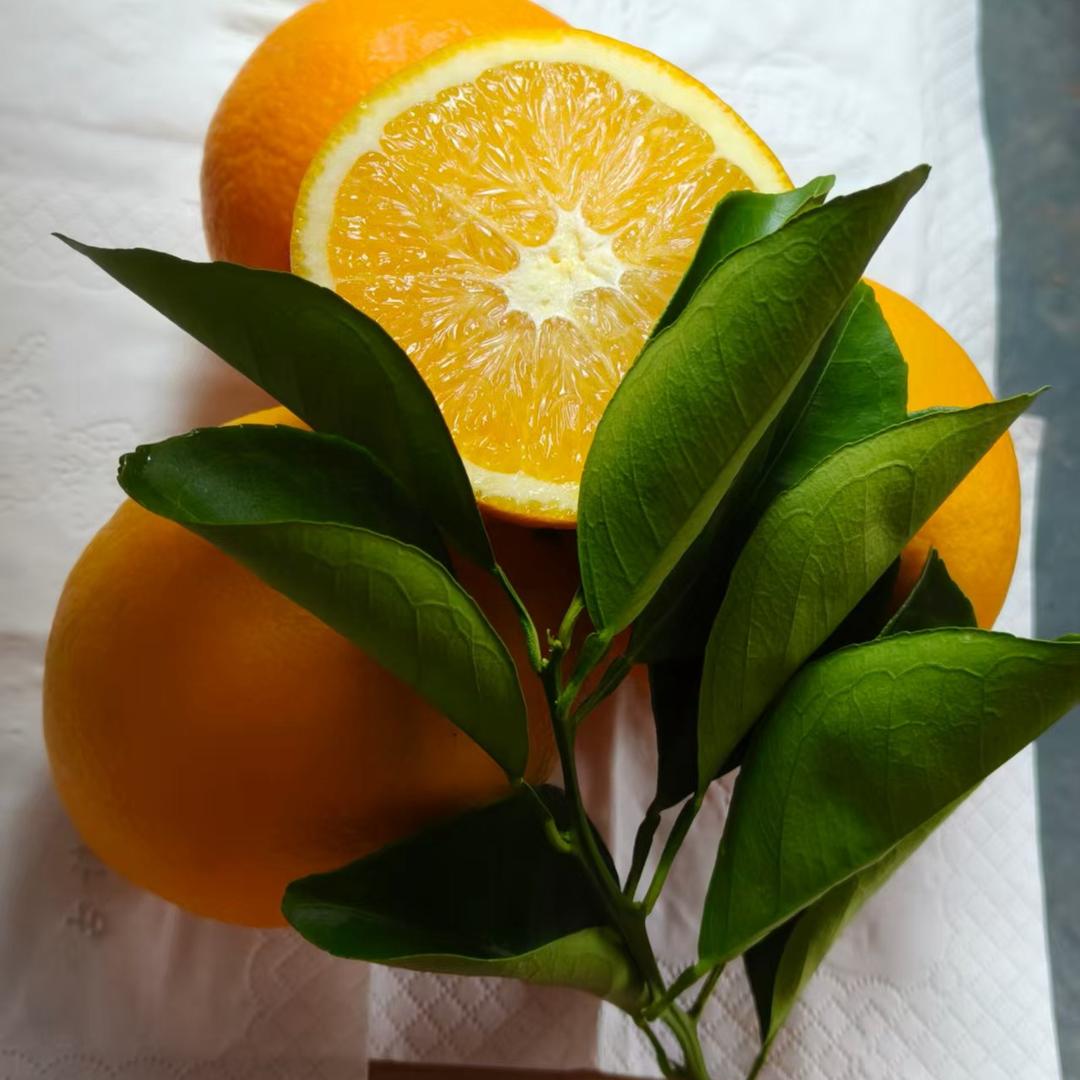 在赣县卖脐橙的小英