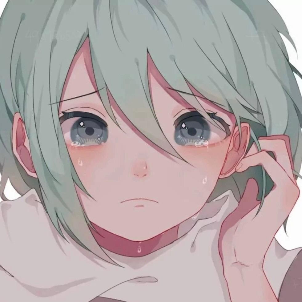 宁总