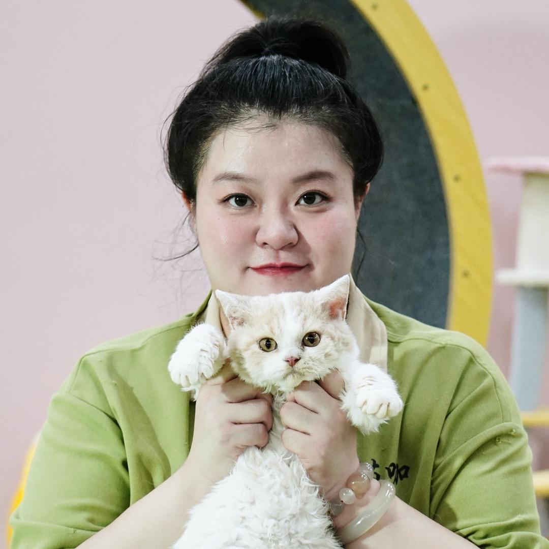 慧子的养宠日记🐈