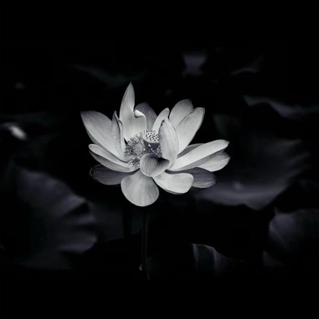 那咋了。。。。