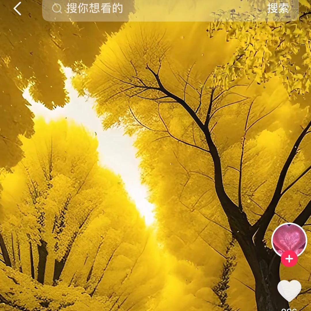 㴓意精品