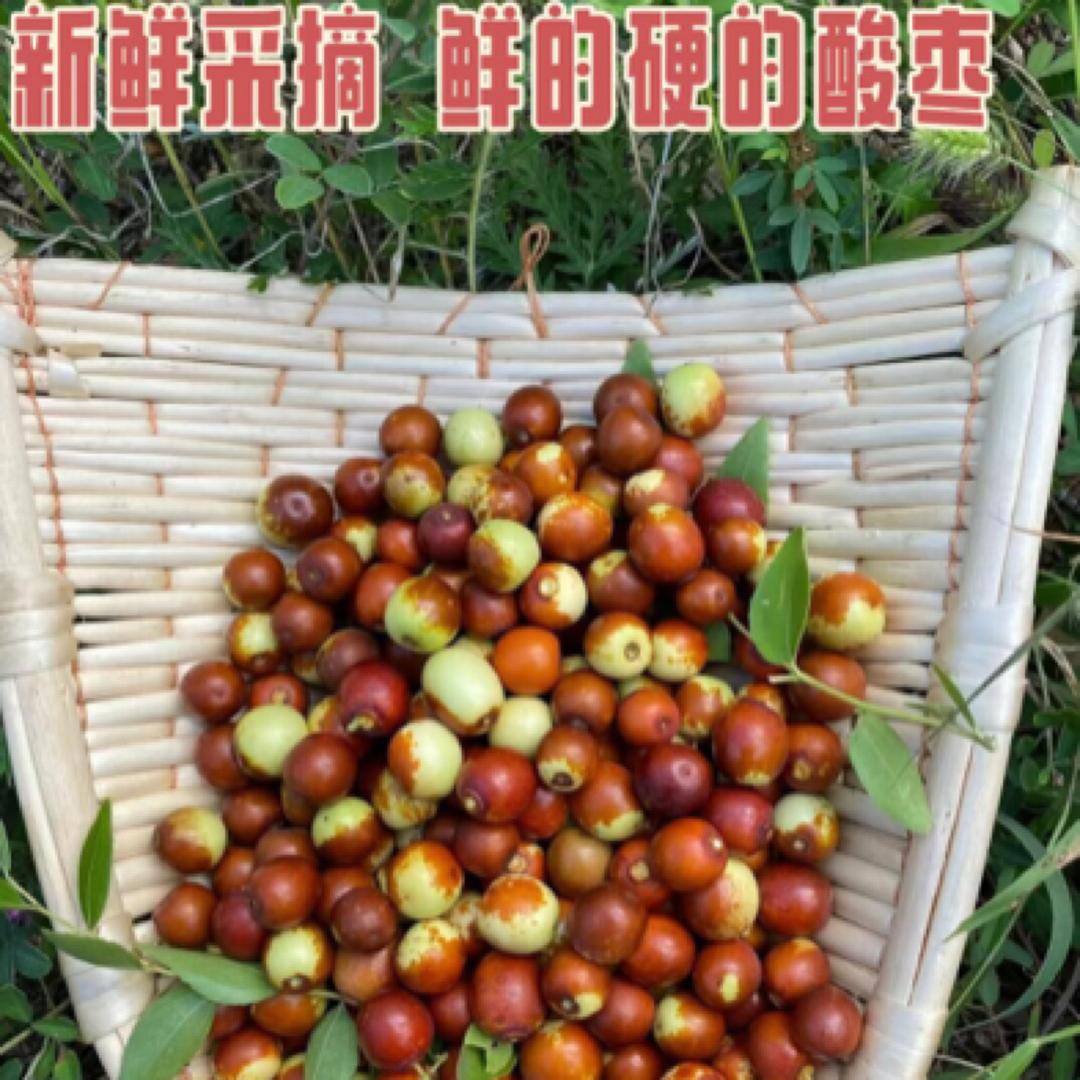 鲁西南果香满园