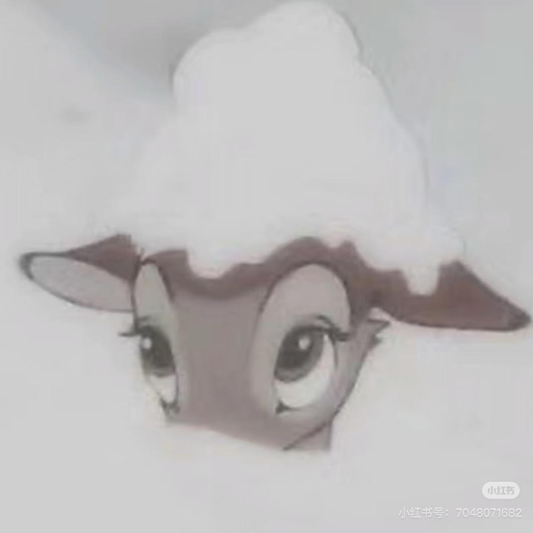 诺糯