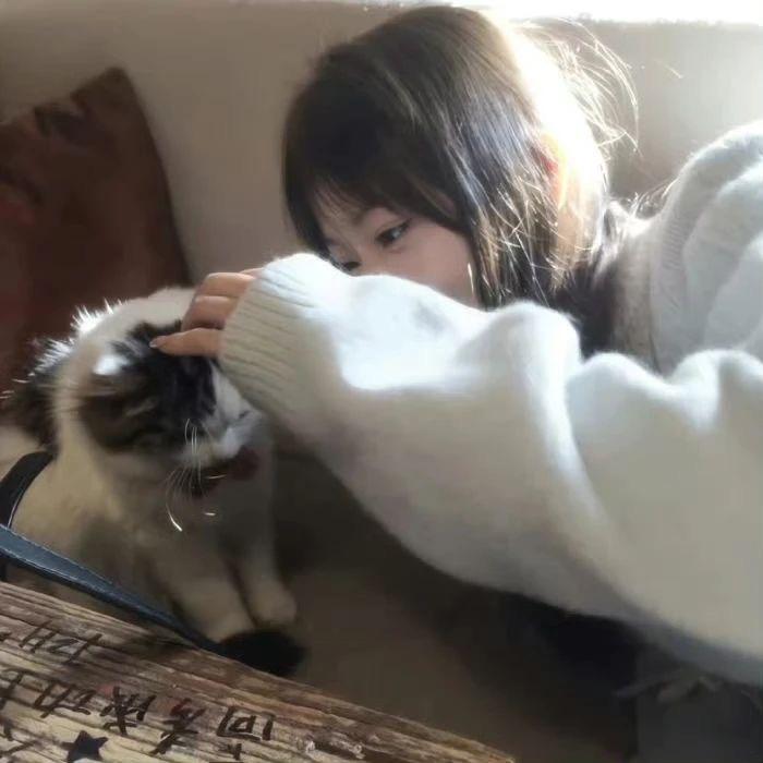 半岛铁盒（接定制版）