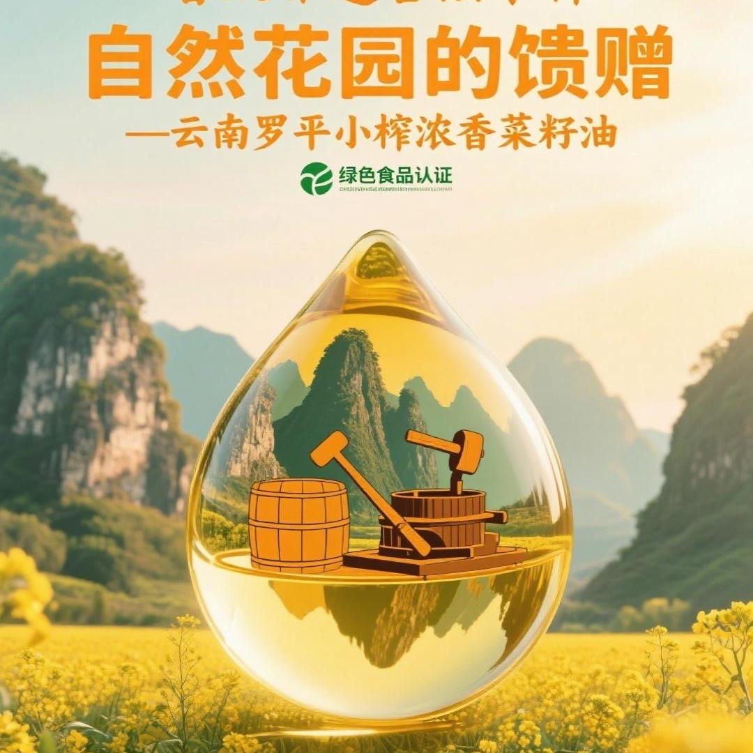 云起照辉